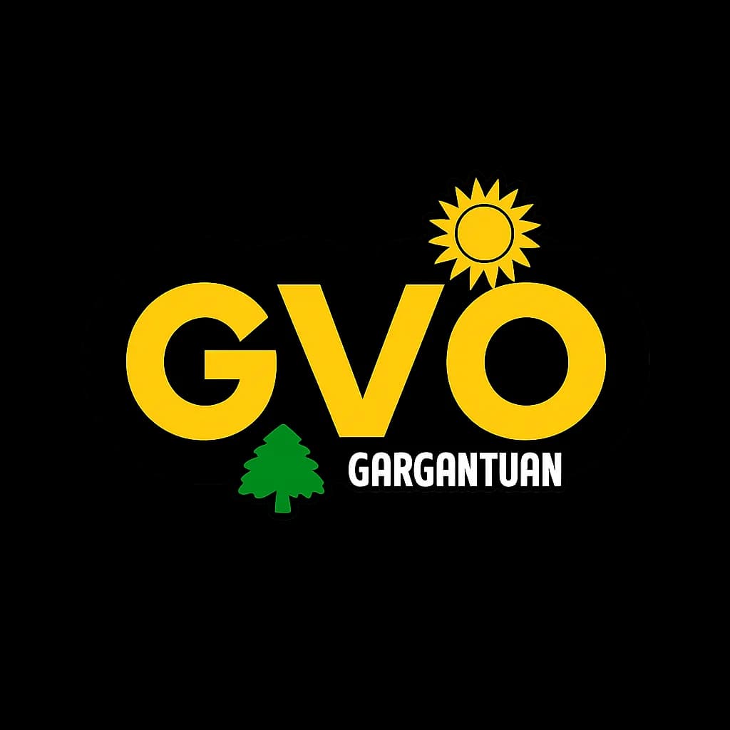 GVO — Kwame Dabie